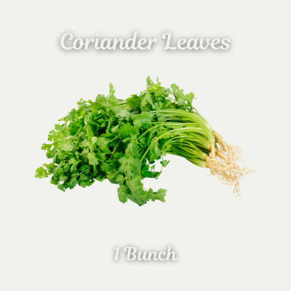 Coriander Leaves